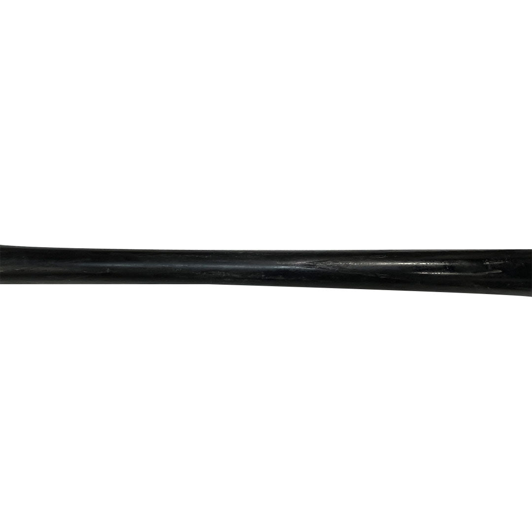 Carlos Pena Autographed Game Used Chandler Bat - Player's Closet Project
