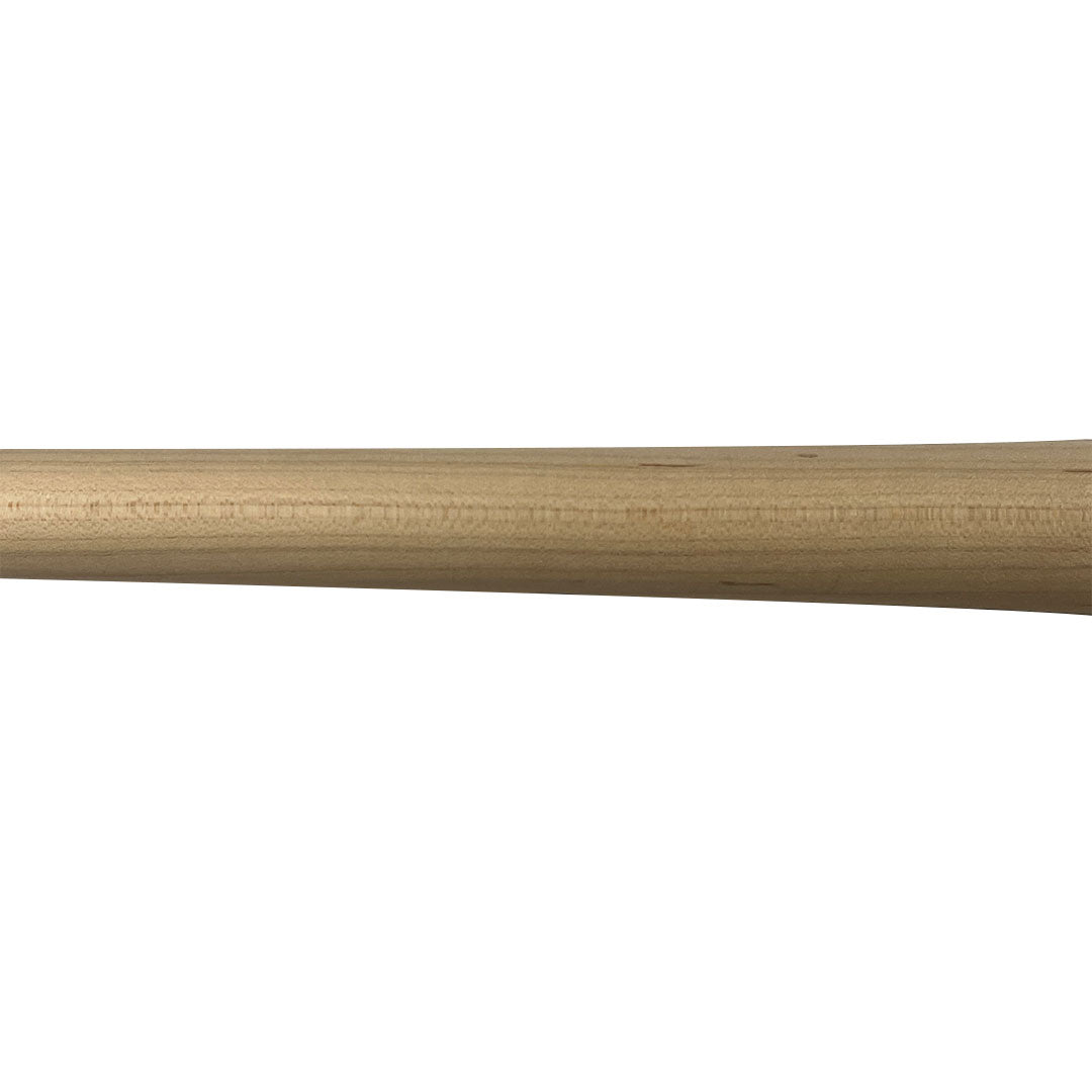 Carlos Pena Autographed Game Used Tampa Bay Rays Bat - Player's Closet Project